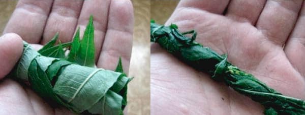 Как скручивать листья