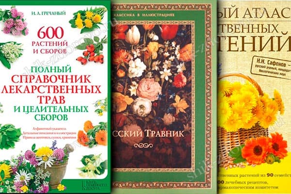 использовались книги-травники