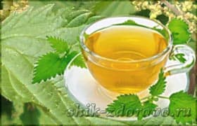 что лечит крапива