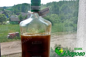 Как сделать сок из чистотела