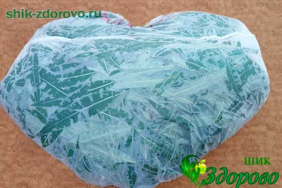 Подвяливание листьев кипрея