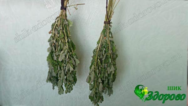 Как сушить чистотел