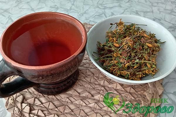 как правильно заваривать зверобой