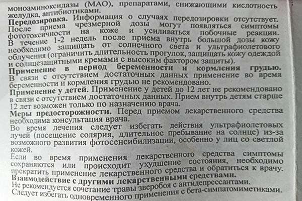 Вред настоя чая из зверобоя