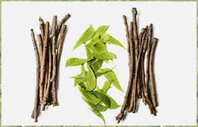 Сбор и заготовка трав