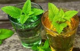 отвар настойка чай с мелиссой