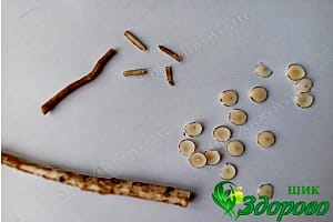 Порезанные корни одуванчика для кофе