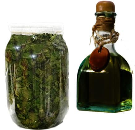 как приготовить настойку крапивы