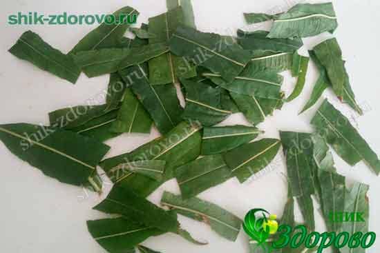 Ферментирование кипрея через мясорубку