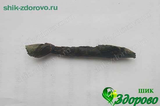 как ферментировать иван-чай в домашних условиях