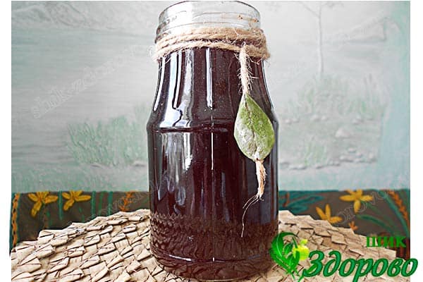 польза и вред варенья из сосновых шишек