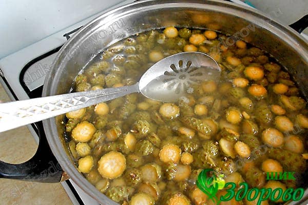 Как сварить варенье из сосновых шишек