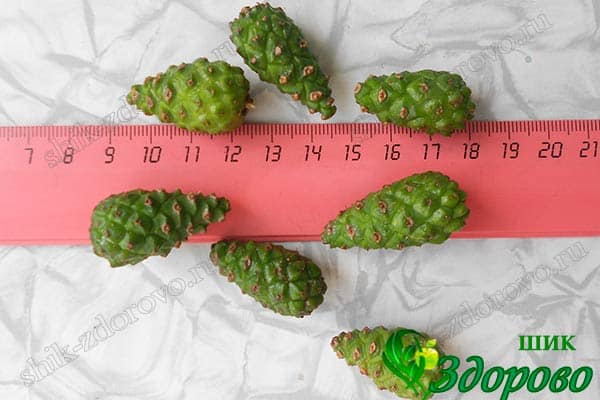 Какие шишки собирать на варенье