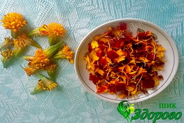 лепестки тагетеса