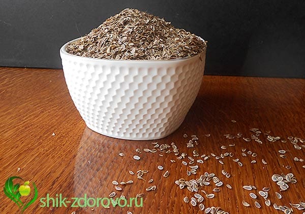 семена укропа лечебные свойства и противопоказания