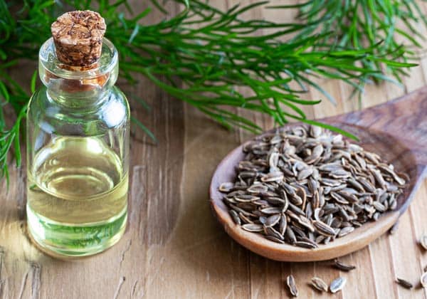 Укропное масло рецепт применение