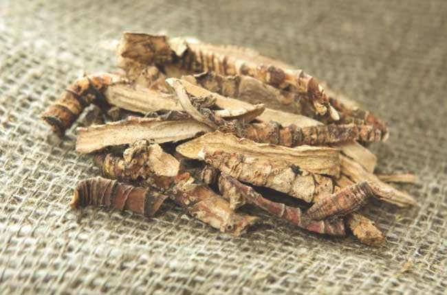 Заготовка корня аира