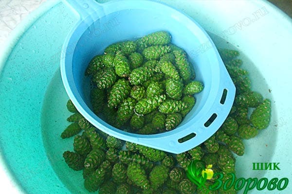 Как мыть шишки