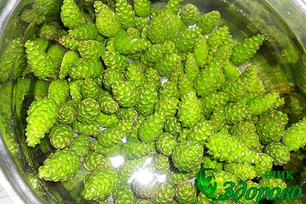 Вымачивание плодов